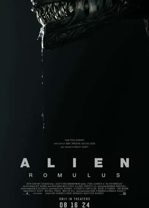 Stream Alien: Romulus in 4K Ultra HD on Premium IPTV VOD Library
